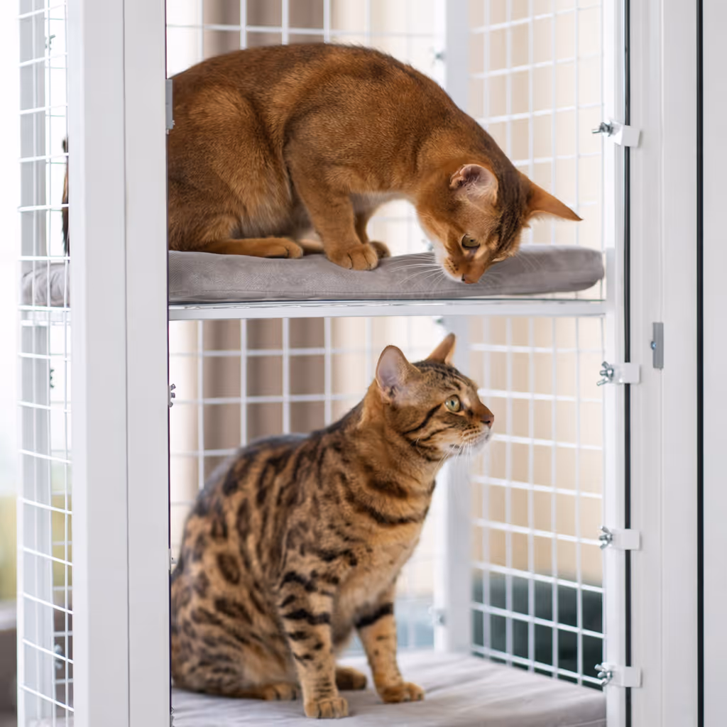 Kočky bezpečně za svařovanou ocelovou mříží BalconyCat